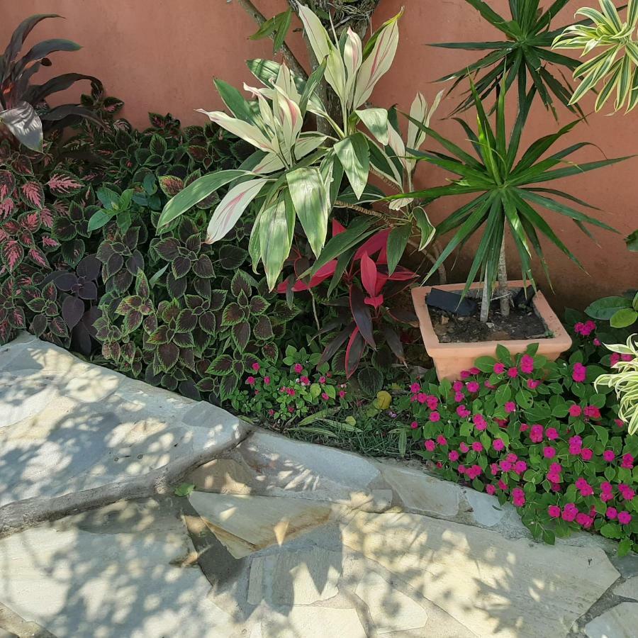 הוילה Ecco House Buzios מראה חיצוני תמונה